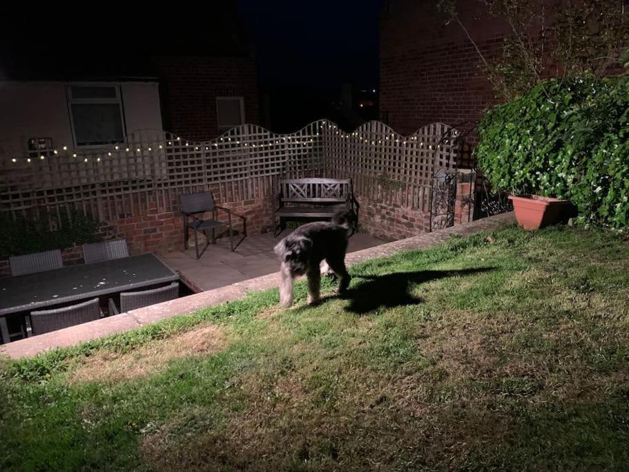 Award Winning Pet Friendly Paddock Cottage Whitby Eksteriør billede