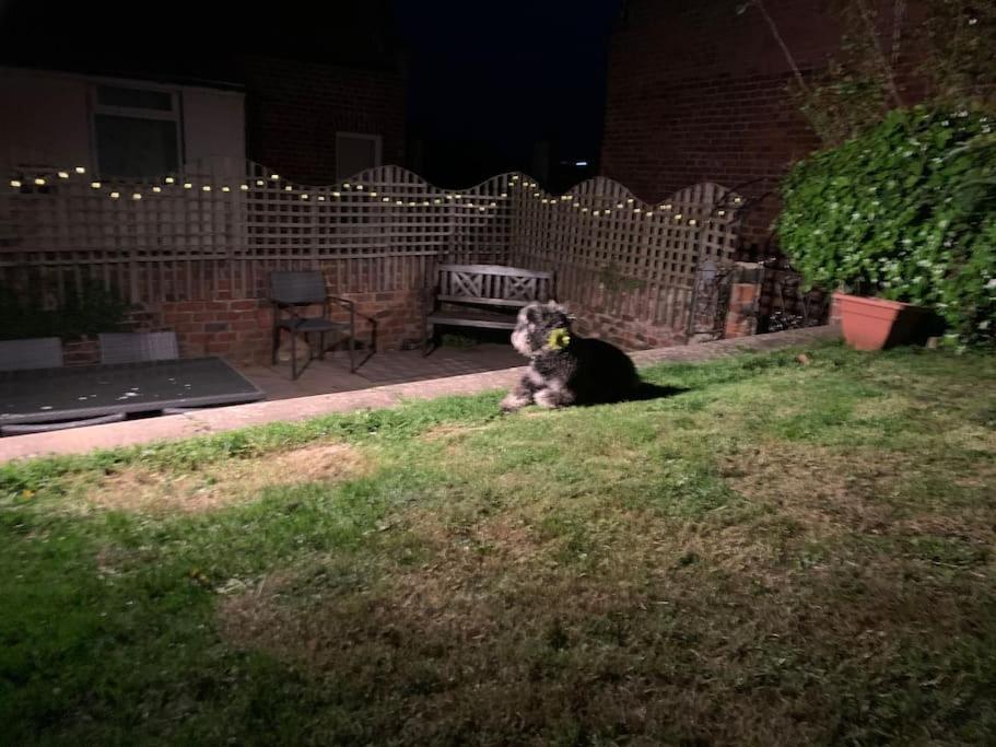 Award Winning Pet Friendly Paddock Cottage Whitby Eksteriør billede