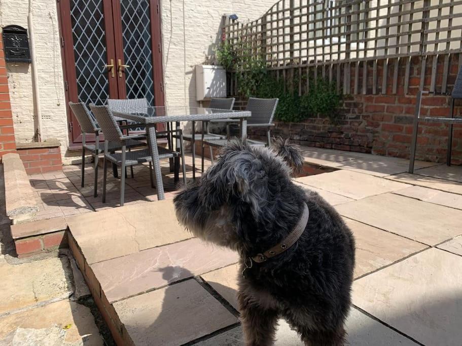 Award Winning Pet Friendly Paddock Cottage Whitby Eksteriør billede