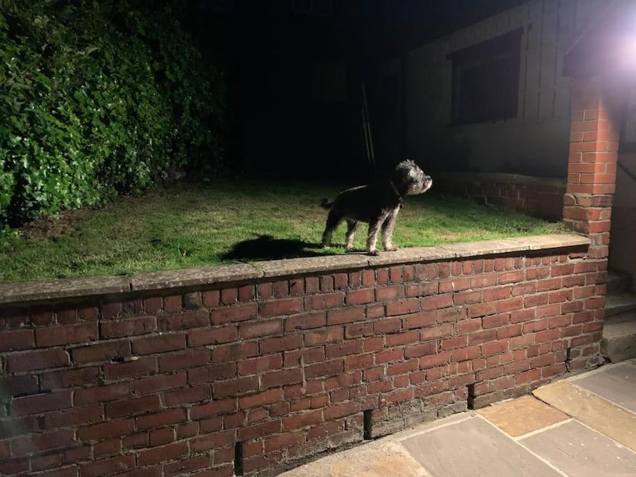 Award Winning Pet Friendly Paddock Cottage Whitby Eksteriør billede